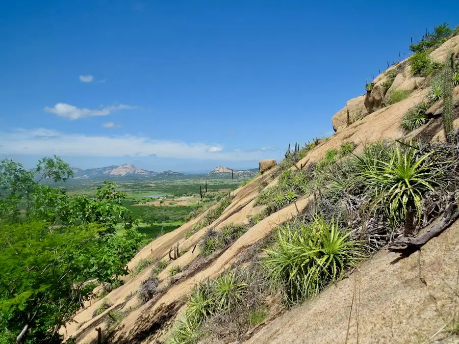 Encosta de arenito com bromélias e cactos e vista do sertão nordestino