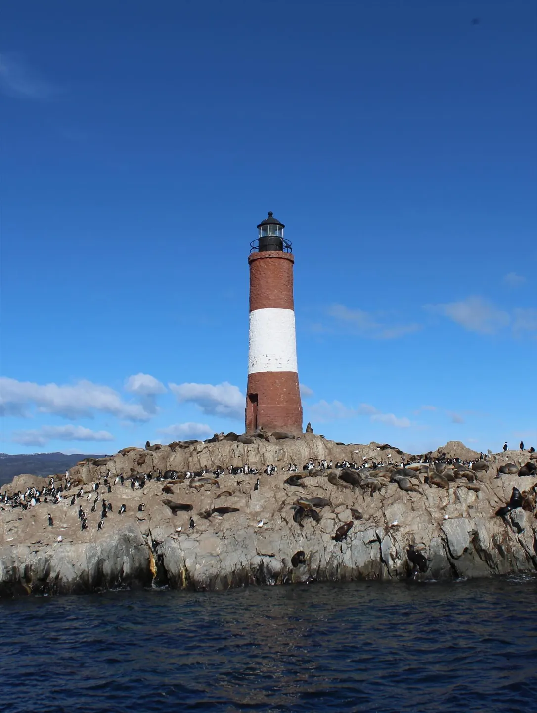 Farol Les Eclaireurs com lobos-marinhos e cormorões no Canal Beagle
